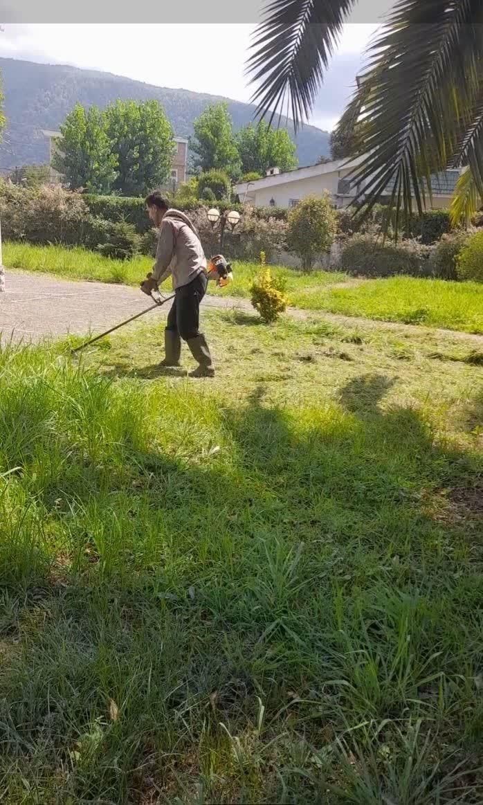 پوست کندن درخت نخل یا خرما و باغبانی حرص چمن زنی|خدمات باغبانی و درختکاری|سلمان‌شهر, |دیوار