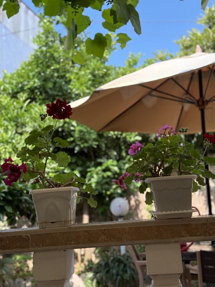 خیابان نیما ویلای شیک توجیه ساخت بالا/قابل معاوضه|فروش خانه و ویلا|لاهیجان, رجایی|دیوار