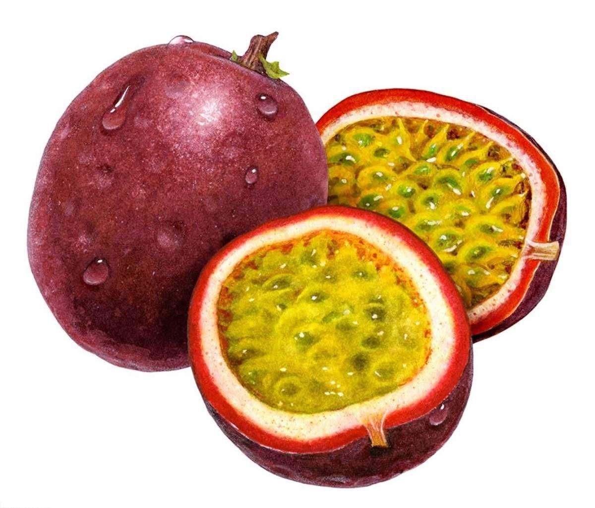 اسانس آسپارتام رنگ خوراکی مواد شیمیایی نگهدارنده|عمده‌فروشی|تهران, پامنار|دیوار