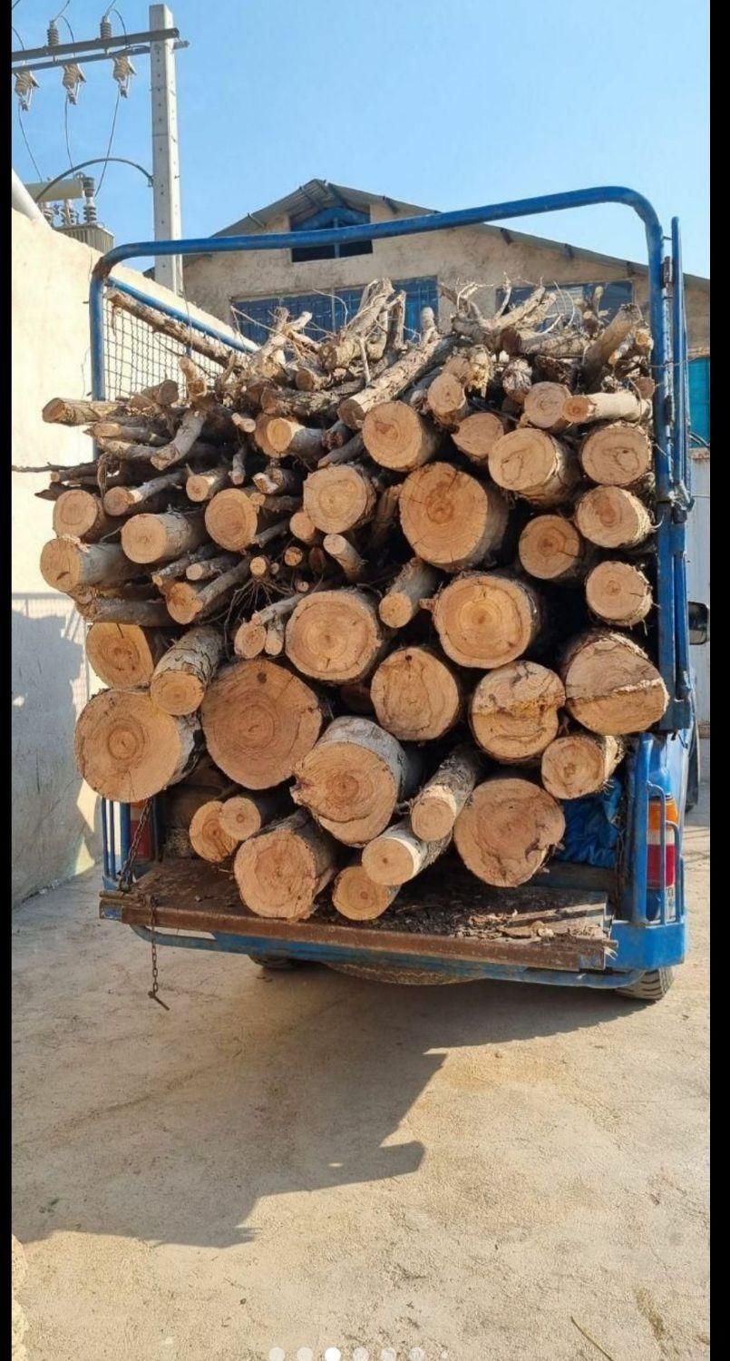 هرس خرید چوب قطع و بریدن درخت سم پاشی چمن وعلف زنی|خدمات باغبانی و درختکاری|کرمانشاه, |دیوار