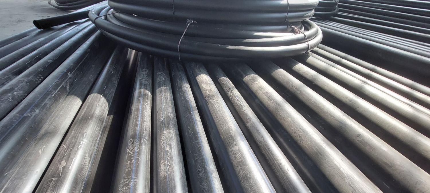 لوله پلی اتیلن بارانی و نوارتیپ و لوله نخدار|خدمات باغبانی و درختکاری|صحنه, |دیوار