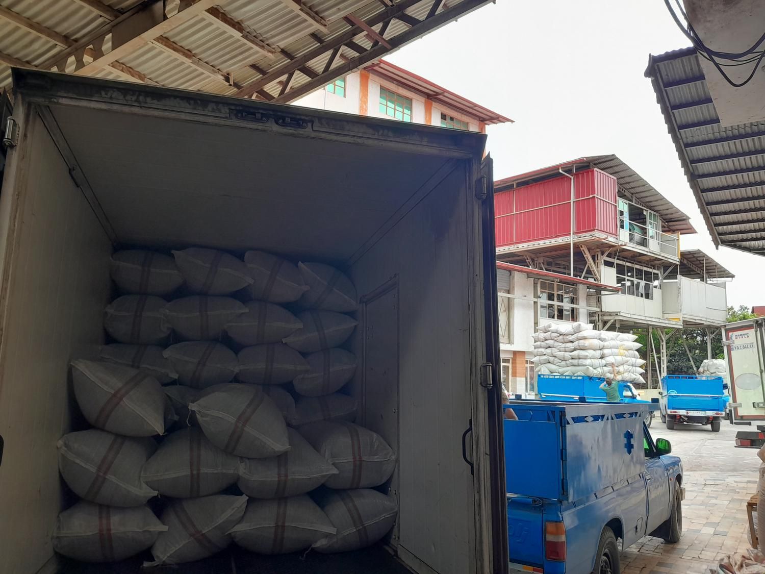 چای بهاره قلم صادراتی کد ۳۴ خاندشت|خوردنی و آشامیدنی|لاهیجان, شیخ زاهد|دیوار