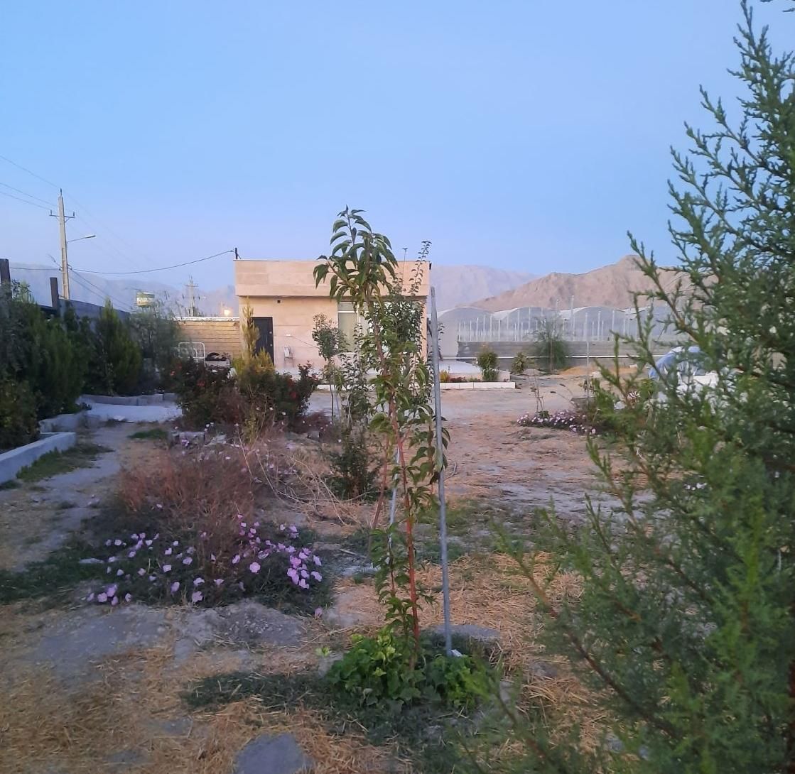 گلخانه ۳۰۰۰ متر مربعی در مجتمع گلخانه ای|فروش دفتر صنعتی، کشاورزی، تجاری|کرمانشاه, |دیوار