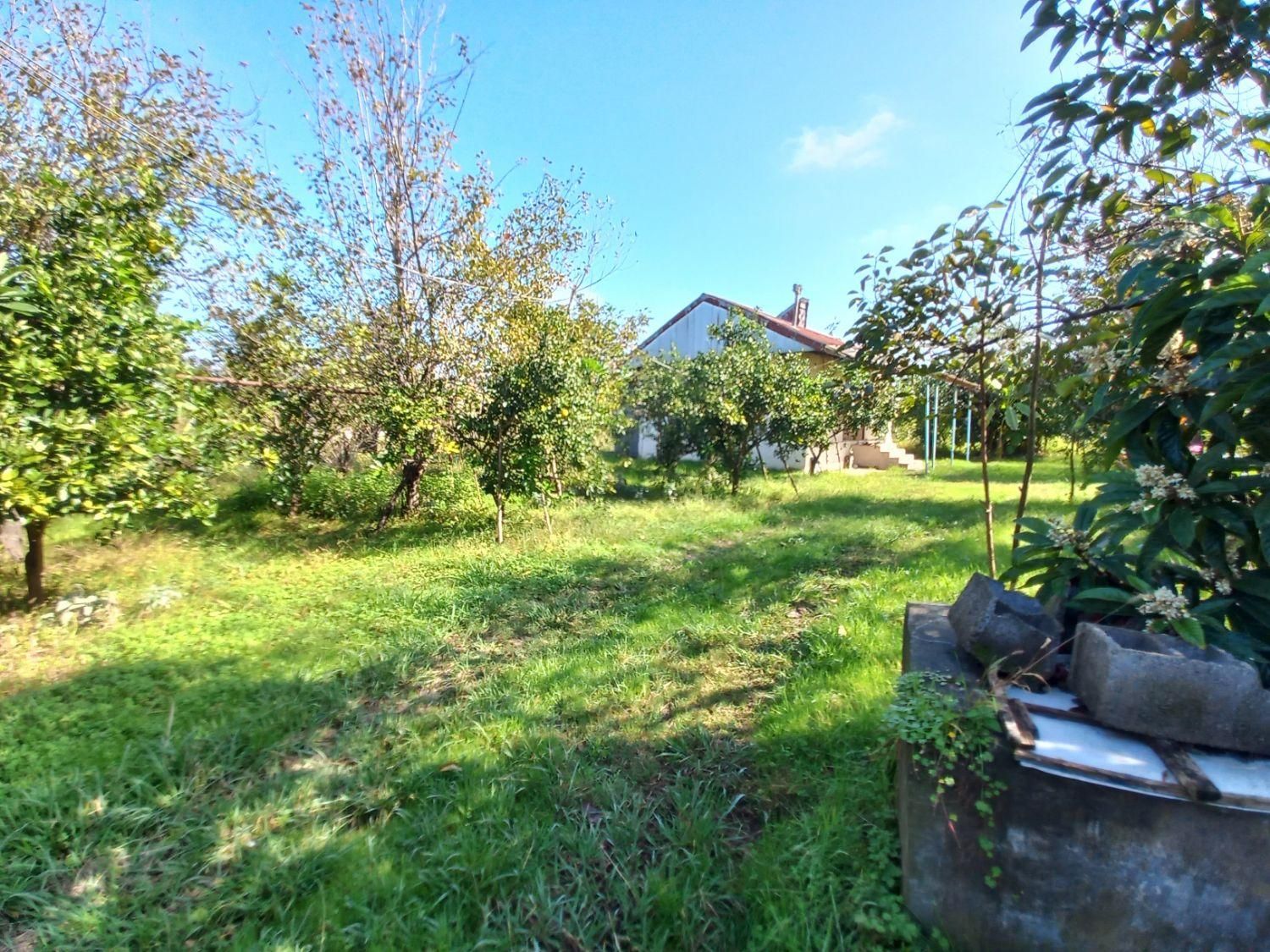 ۳۷۰۰ متر مسکونی با انشعابات قابل تفکیک/۸دقیقه دریا|فروش زمین و ملک کلنگی|لشت نشا, |دیوار