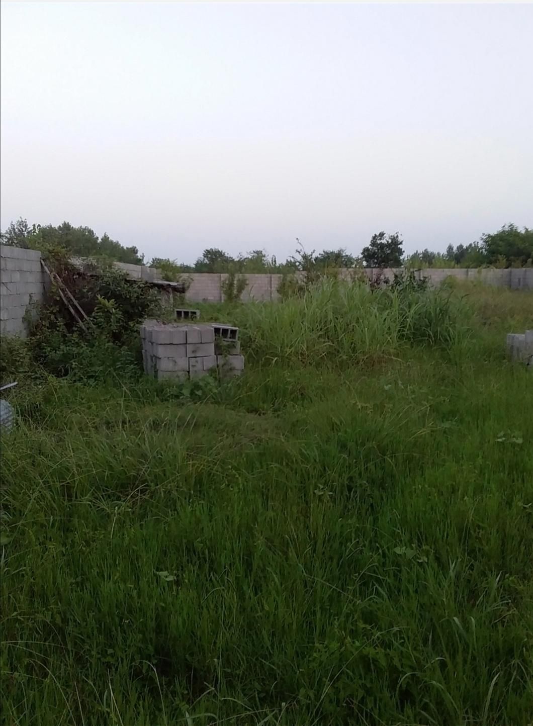 فروش زمین روستایی ۹۰۰ متری تهاتر با ملک در انزلی|فروش زمین و ملک کلنگی|بندر انزلی, چهارفریضه|دیوار