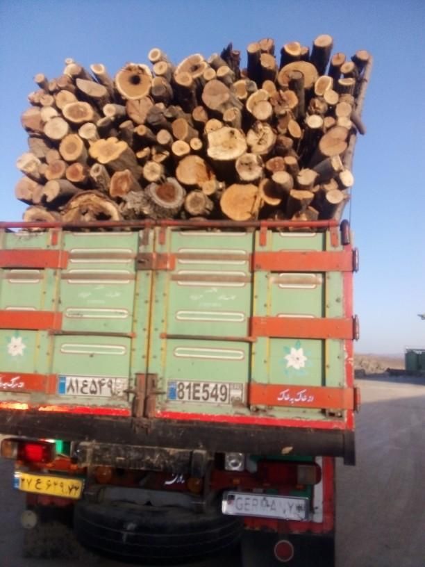 خریدچوب‌سقفی/قعط‌درخت|عمده‌فروشی|مشهد, بهمن|دیوار