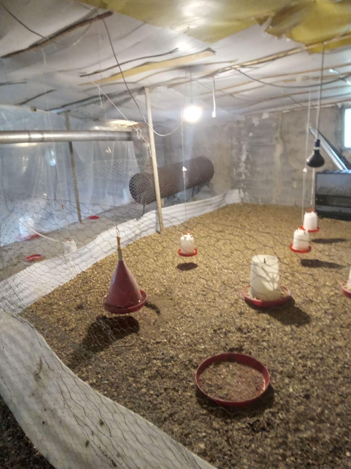 مرغداری اجاره|اجارهٔ دفتر صنعتی، کشاورزی، تجاری|لاهیجان, آهندان|دیوار