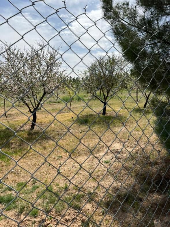 زمین۱۰۰۰متری امکانات قانونی شهرکی (سهیلیه زعفرانیه|فروش زمین و ملک کلنگی|هشتگرد, شهرک سهیلیه|دیوار