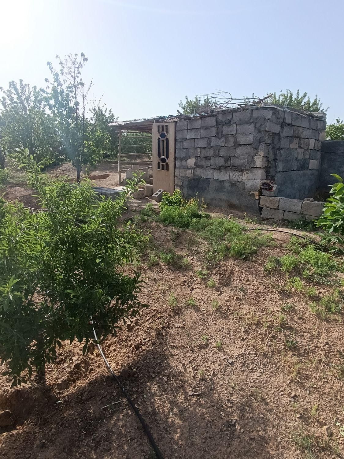 باغ بادام ۱۰۰۰متری باسند تگ برگ رسمی|فروش دفتر صنعتی، کشاورزی، تجاری|فولادشهر, زاینده رود|دیوار