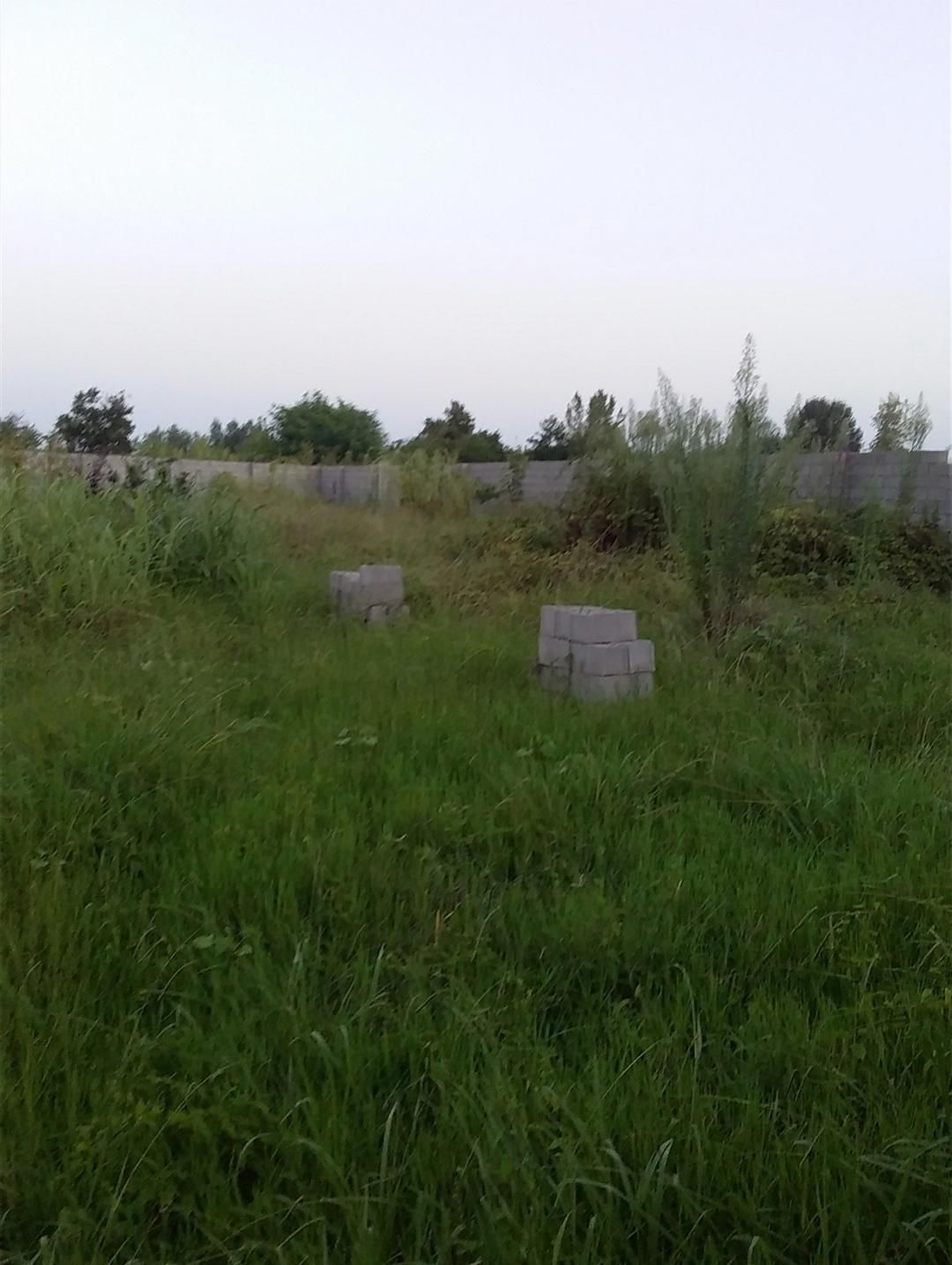 فروش زمین روستایی ۹۰۰ متری تهاتر با ملک در انزلی|فروش زمین و ملک کلنگی|بندر انزلی, چهارفریضه|دیوار