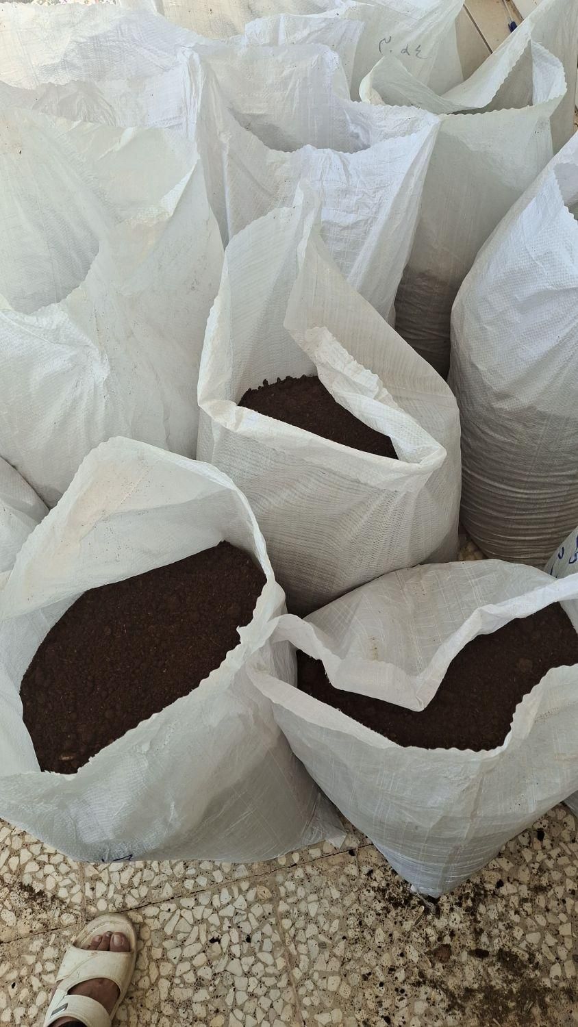 کود ورمی کمپوست|خدمات باغبانی و درختکاری|نجفآباد, شهرک صنعتی نجف آباد|دیوار