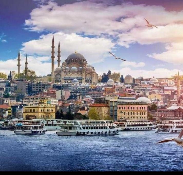 تور وان ترکیه،استانبول،دبی،تفلیس، ارمنستان|تور و چارتر|یزد, |دیوار