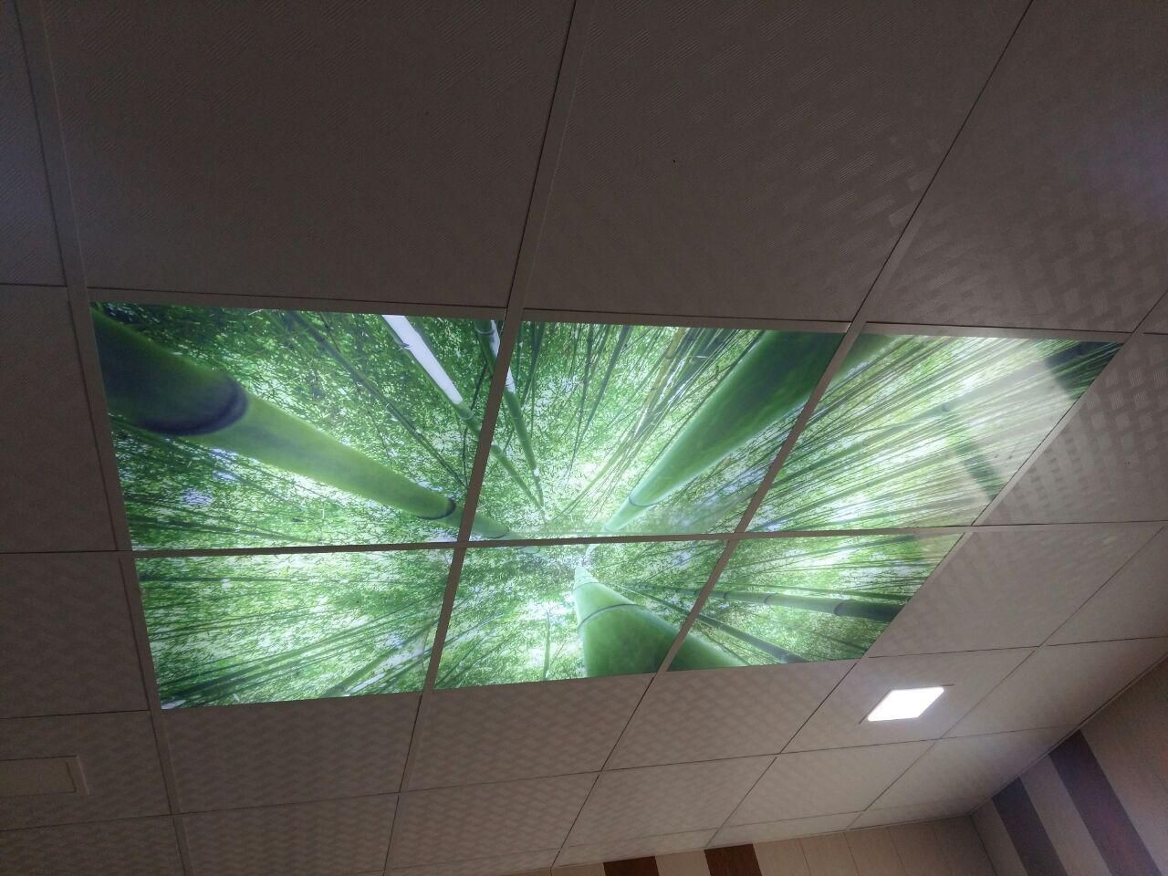 اسمان مجازی تایل اسمان مجازی|مصالح و تجهیزات ساختمان|تهران, بلورسازی|دیوار