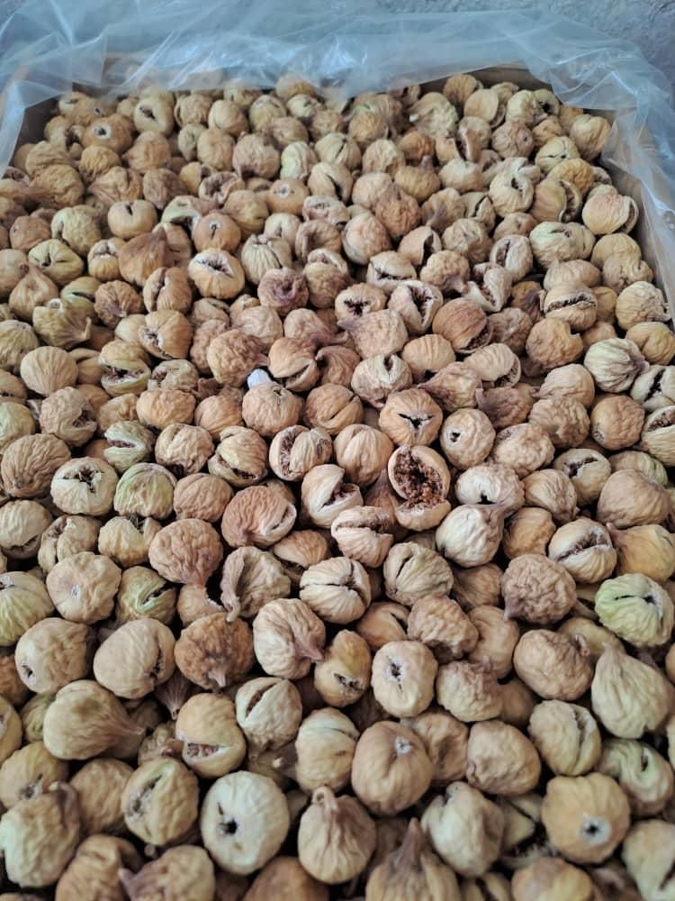 پخش عمده اجیل و خشکبار صدیک|عمده‌فروشی|شیراز, شهرک صنعتی|دیوار