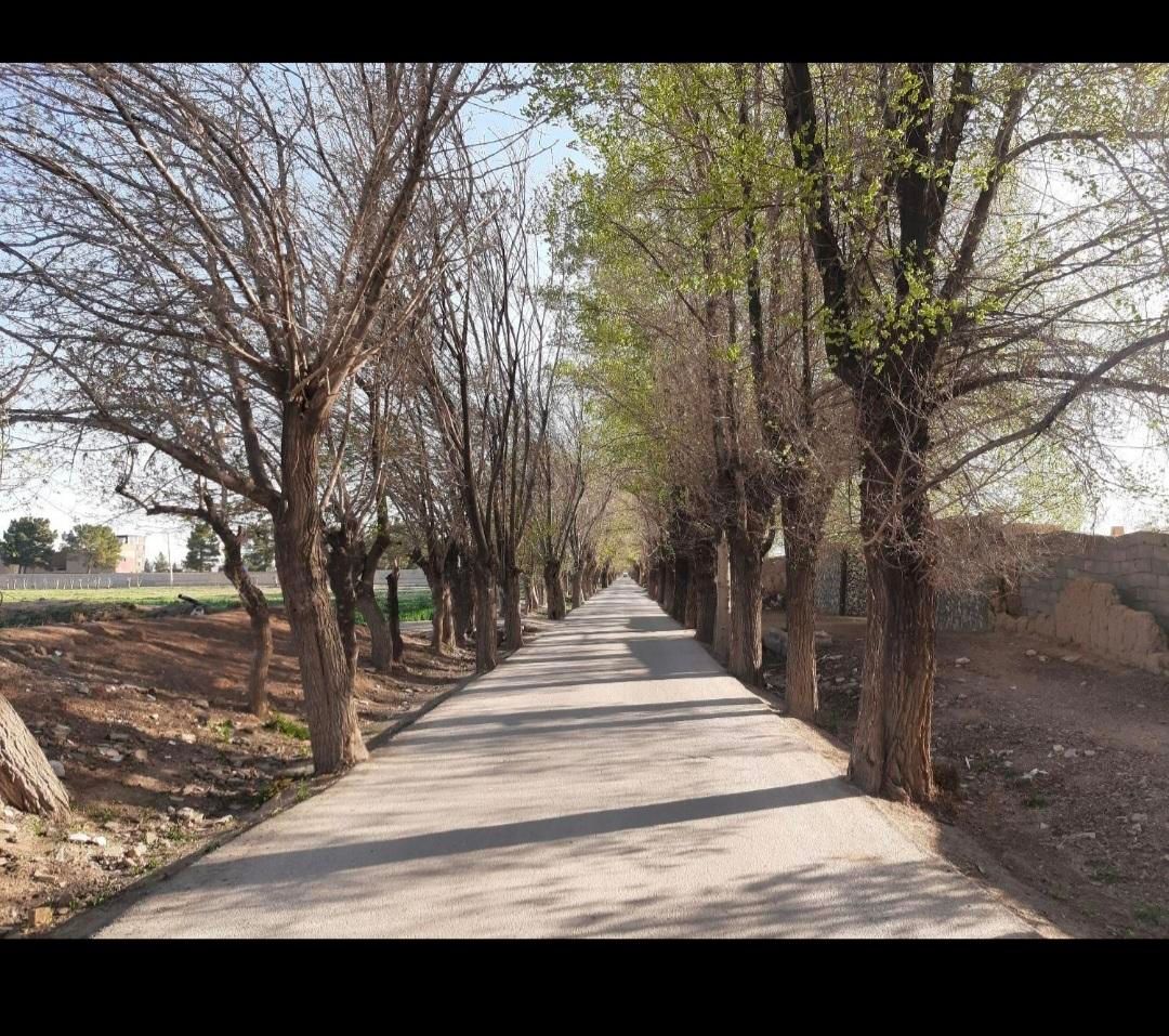 فروش زمین چهار دیواری سند تک برگ ۵۰۰ متر اصفهانک|فروش زمین و ملک کلنگی|اصفهان, اصفهانک|دیوار