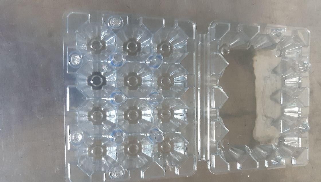 پک بهداشتی جهت بسته بندی تخم بلدرچین(12عددی)|عمدهفروشی|سبزوار, |دیوار