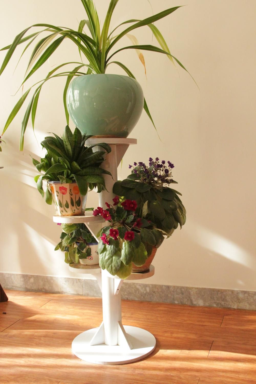 جای گلدان ۵ تایی فومیزه|گل و گیاه طبیعی|اصفهان, باغ فدک|دیوار