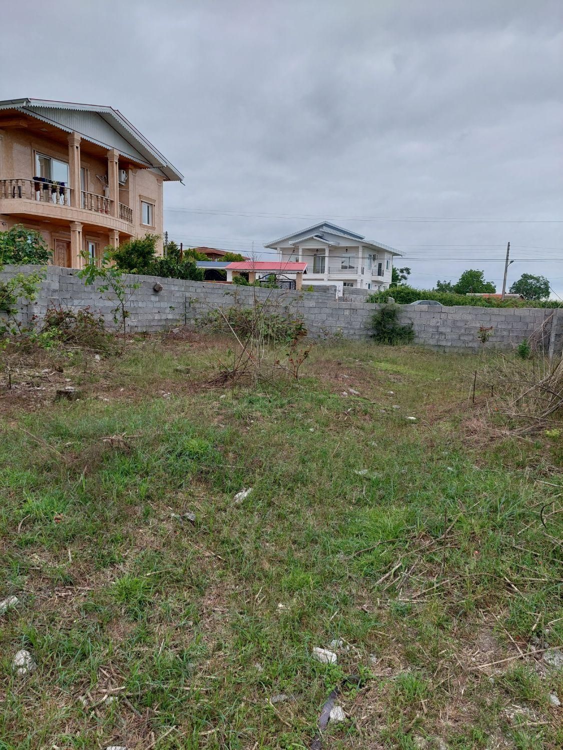 زمین مسکونی سند تک برگ لیسار|فروش زمین و ملک کلنگی|تالش, هشتپر|دیوار