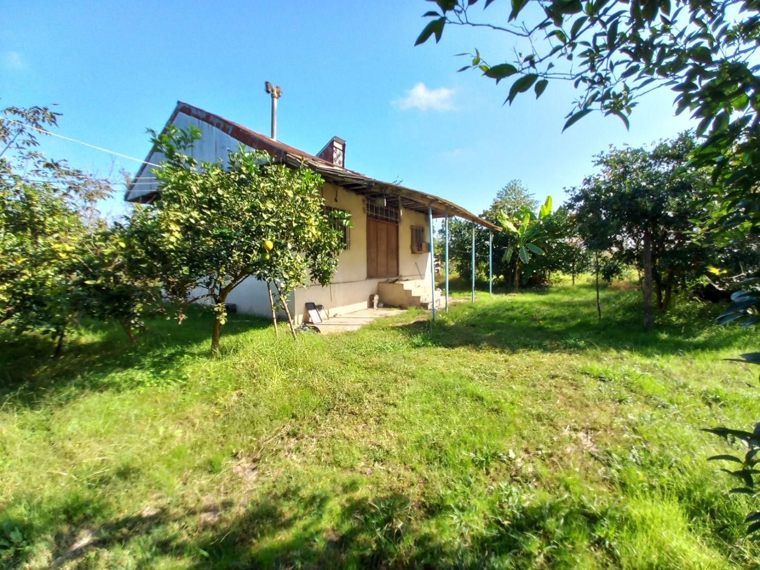 ۳۷۰۰ متر مسکونی با انشعابات قابل تفکیک/۸دقیقه دریا|فروش زمین و ملک کلنگی|لشت نشا, |دیوار