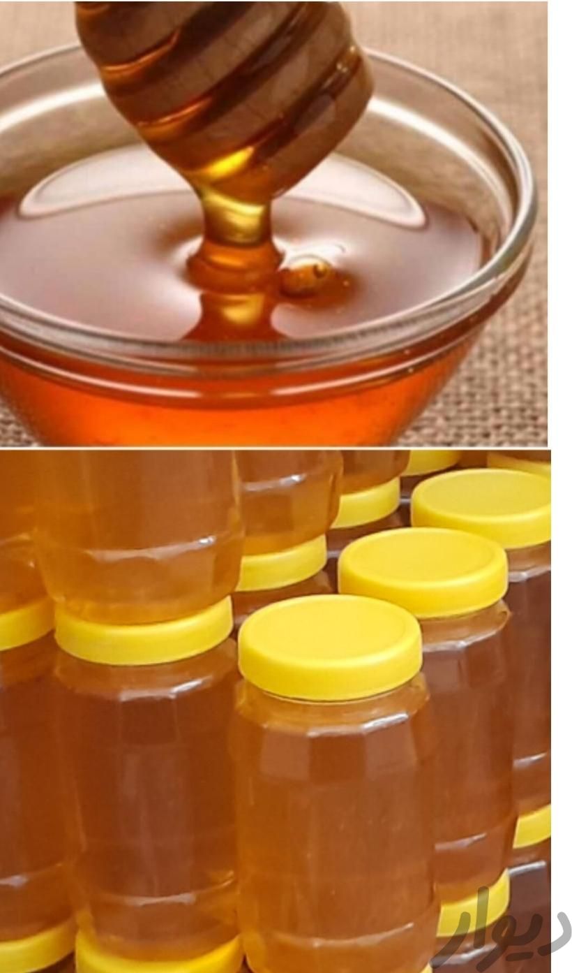 عسل گون دره تخت|خوردنی و آشامیدنی|اهواز, بهارستان|دیوار
