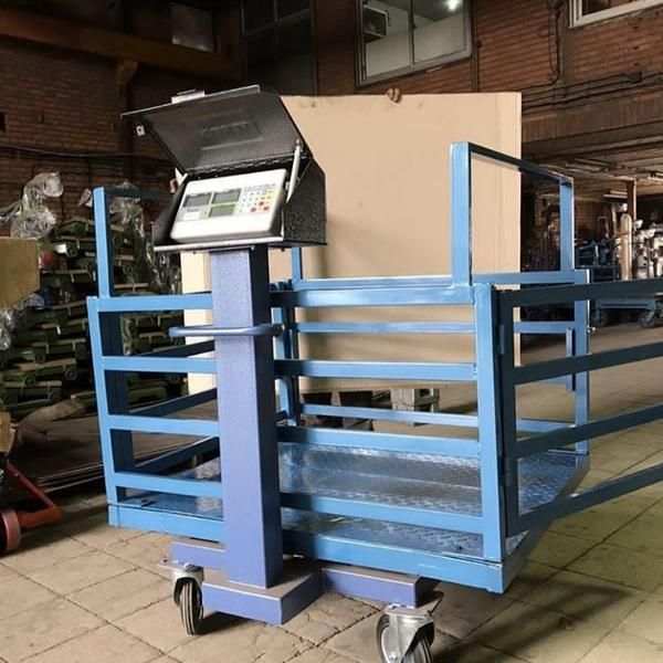 باسکول دام میزان میرال|فروشگاه و مغازه|خرمآباد, |دیوار