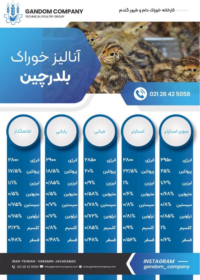 دان بلدرچین|عمده‌فروشی|تهران, توحید|دیوار