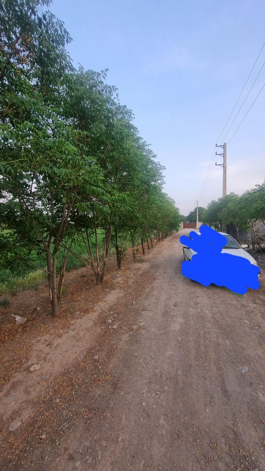 فروش چهاردیواری ۳۱۰ متر در شریف‌آباد،کریم آباد|فروش دفتر صنعتی، کشاورزی، تجاری|شریف‌آباد, |دیوار