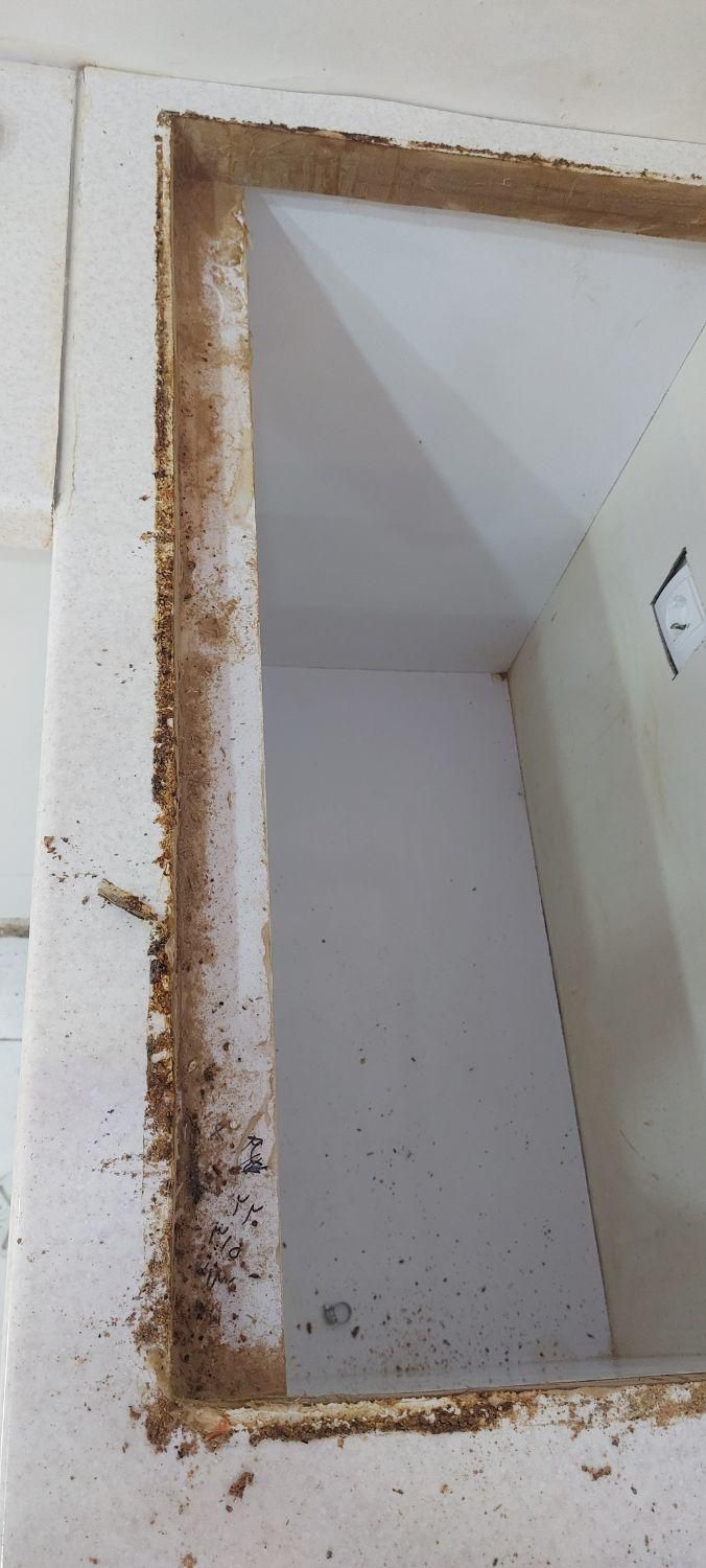 خدمات نظافت منازل شرکت خدماتی|خدمات نظافت|یاسوج, |دیوار