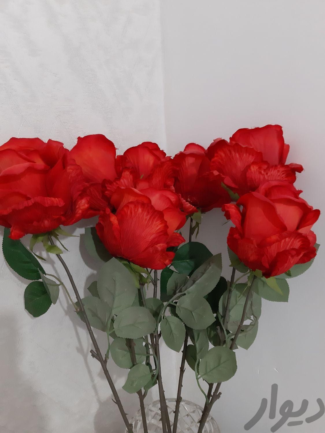 ۷شاخه گل رز خارجی|گل مصنوعی|تبریز, |دیوار