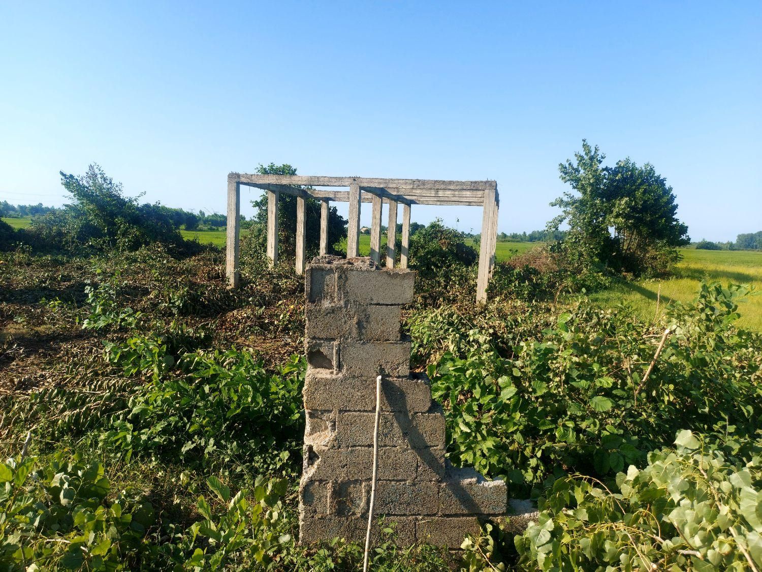 ۵۰۰ متر زمین مسکونی با پروانه|فروش زمین و ملک کلنگی|رضوانشهر, |دیوار