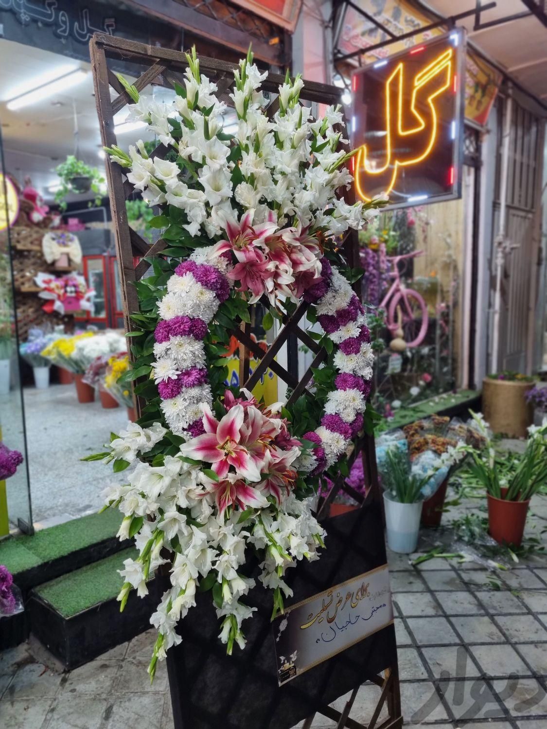 گل رز|گل و گیاه طبیعی|اصفهان, خمینی‌شهر|دیوار
