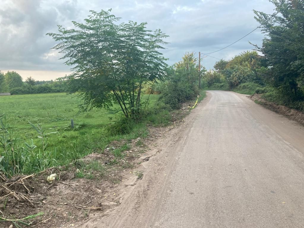 ۹۰۰۰متر زمین باغی/بر آسفالت/ملک ۳ بر/داخل طرح هادی|فروش زمین و ملک کلنگی|رشت, کاکتوس|دیوار