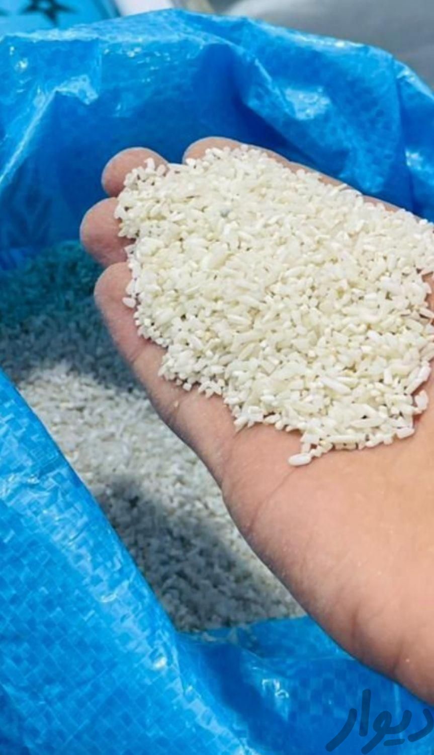 برنج نیم دانه شوشتر|خوردنی و آشامیدنی|اهواز, کوی مهدیس|دیوار