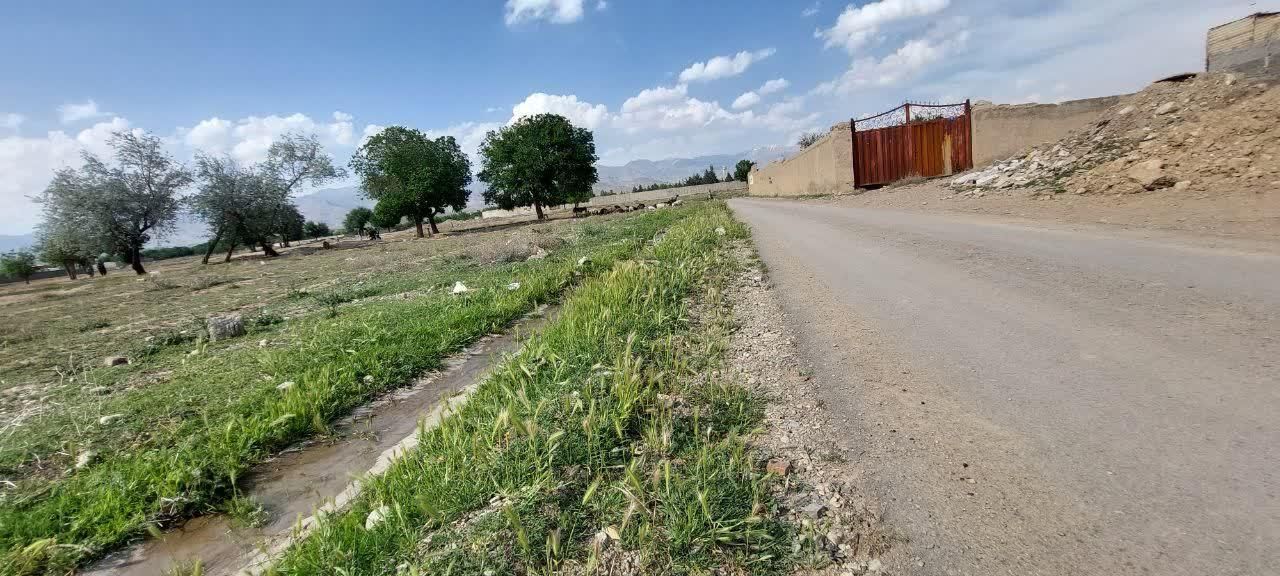 فروش زمین ۲۱۵ متری|فروش زمین و ملک کلنگی|کوهسار (البرز), |دیوار