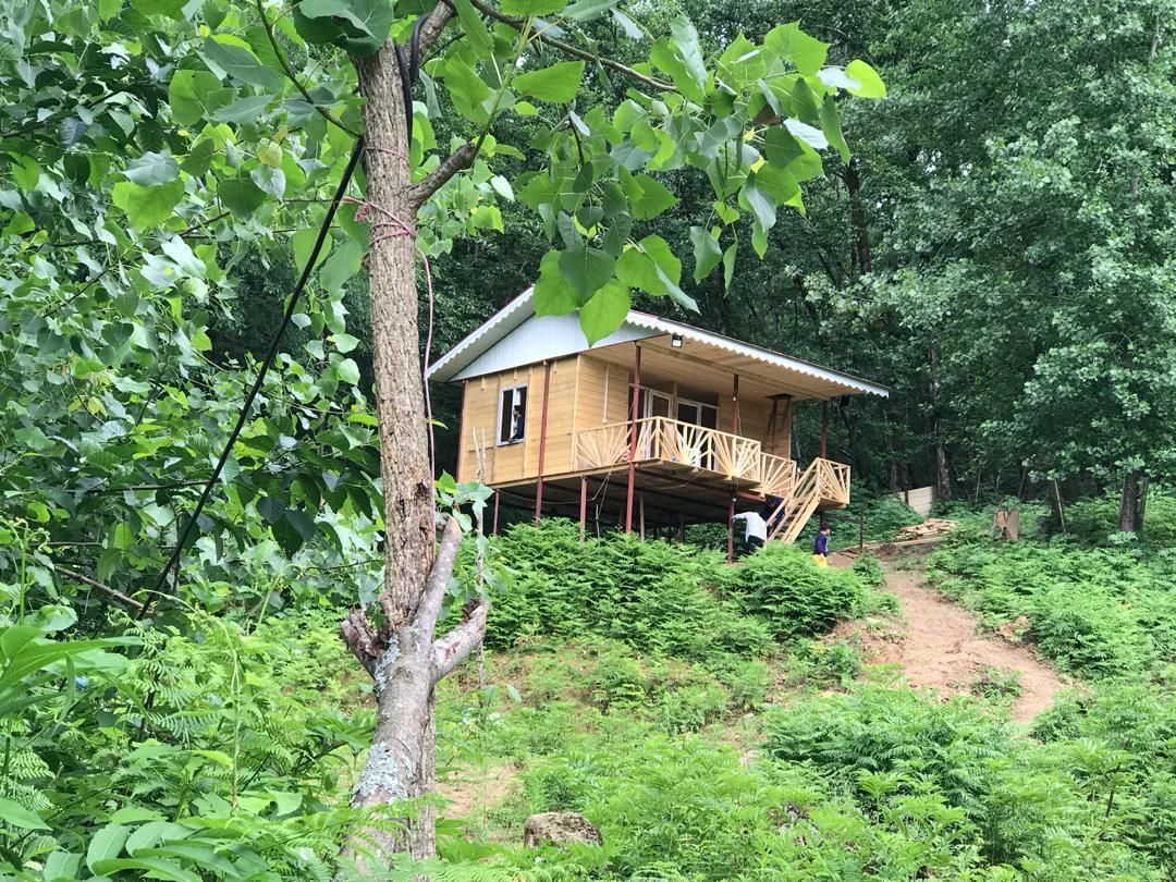 اجاره کلبه جنگلی|اجارهٔ کوتاه‌مدت ویلا و باغ|ماسال, |دیوار