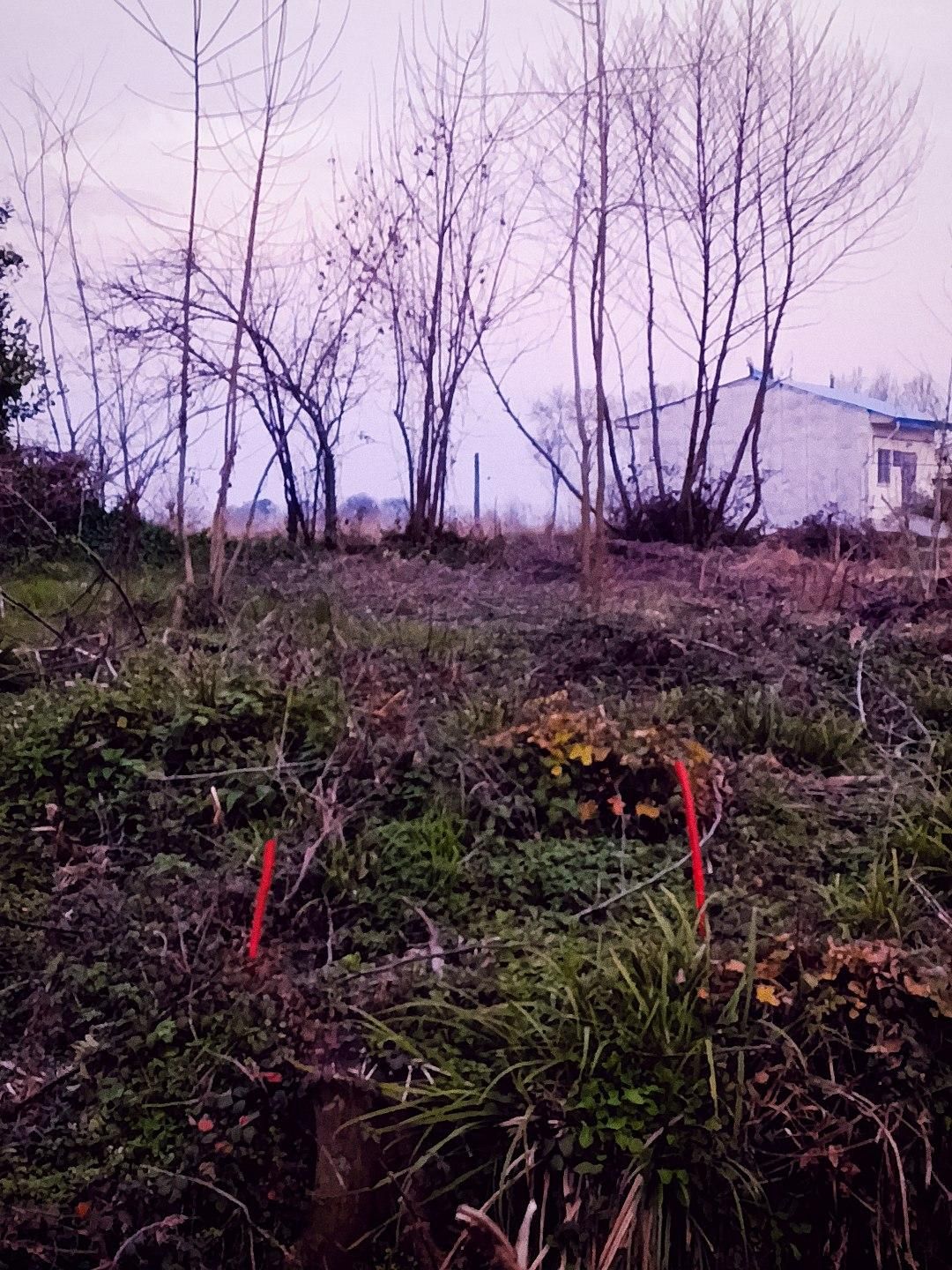 فروش زمین ۲۴۰ متری داخل بافت ومسکونی|فروش زمین و ملک کلنگی|شفت, |دیوار