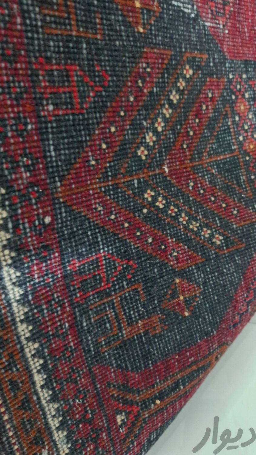 فرش دستباف|فرش|مشهد, امیریه|دیوار