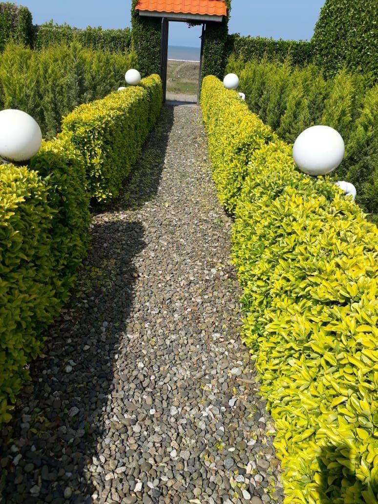 ویلای ساحلی|اجارهٔ کوتاهمدت ویلا و باغ|چابکسر, |دیوار