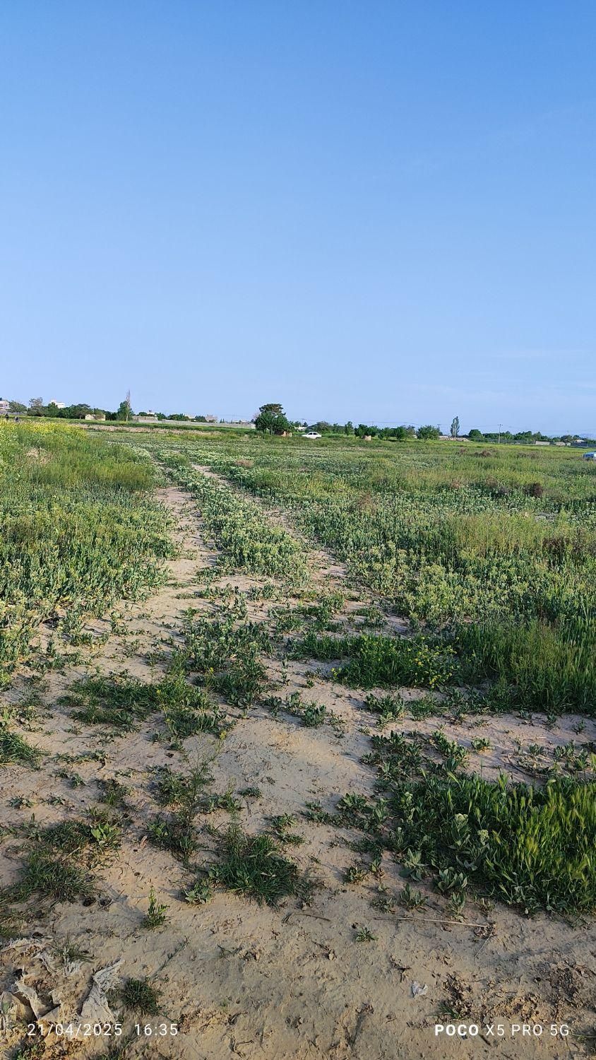 فروش زمین ۱۱۰۰ متری در خین عرب روستای بهار|فروش زمین و ملک کلنگی|مشهد, نوید (بلوار کشاورز)|دیوار