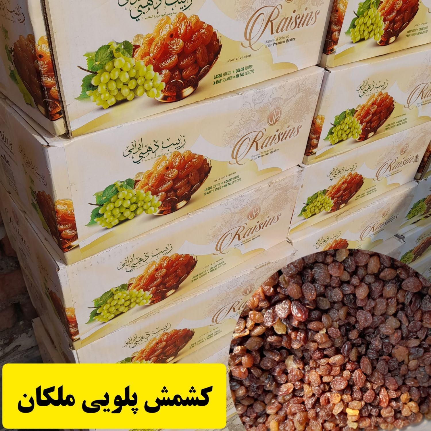کشمش و دوشاب(شیره انگور ) کشمش مخصوص آبگیری|خوردنی و آشامیدنی|لاهیجان, کوی آزادگان|دیوار