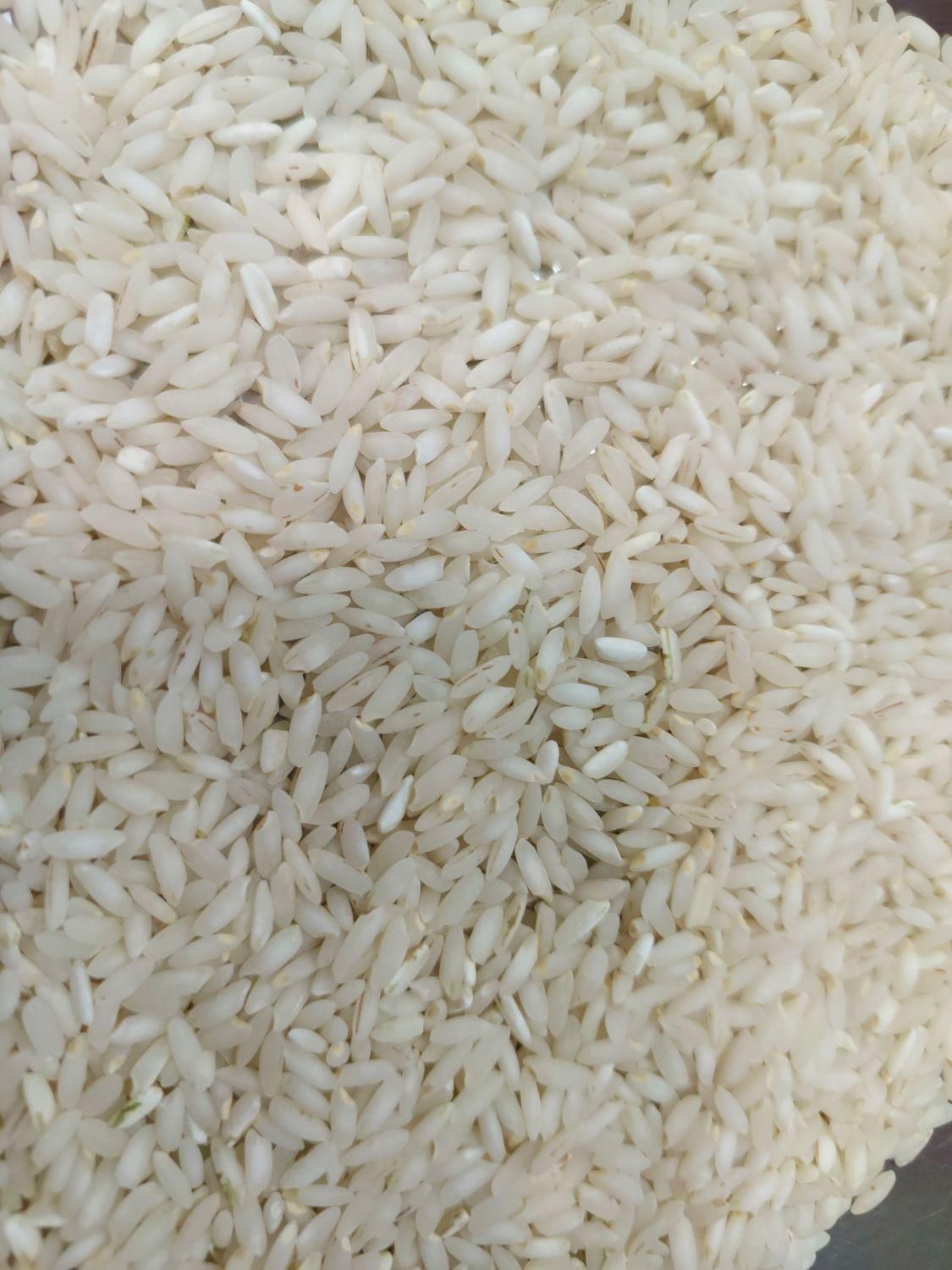 برنج عنبربو(امساله)|خوردنی و آشامیدنی|تهران, منصوریه (پل سیمان)|دیوار