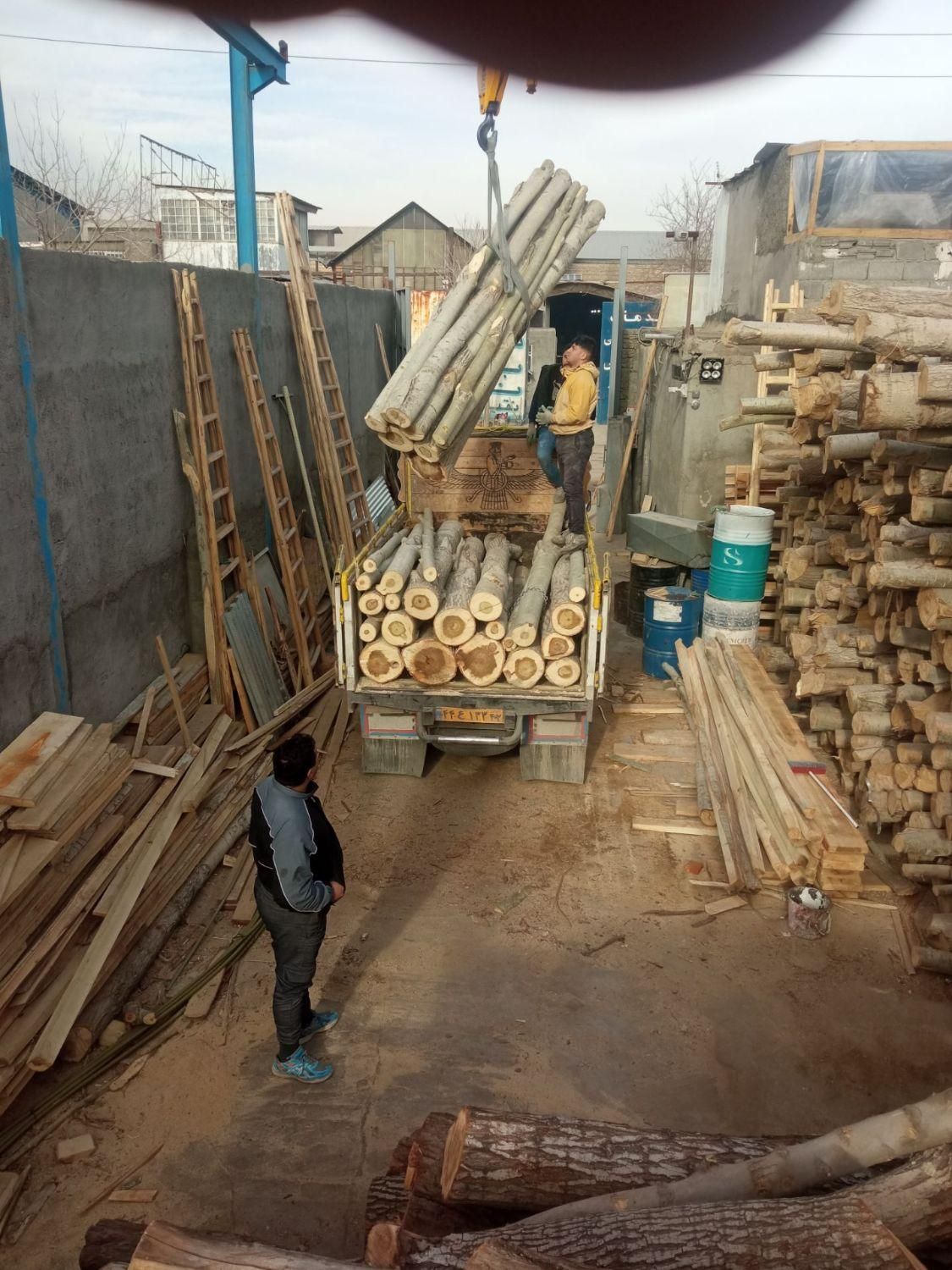 تخته قالب بندی. تخته دفنی تخته زیرپابنایی .قیدمبلی|مصالح و تجهیزات ساختمان|مشهد, نوید|دیوار