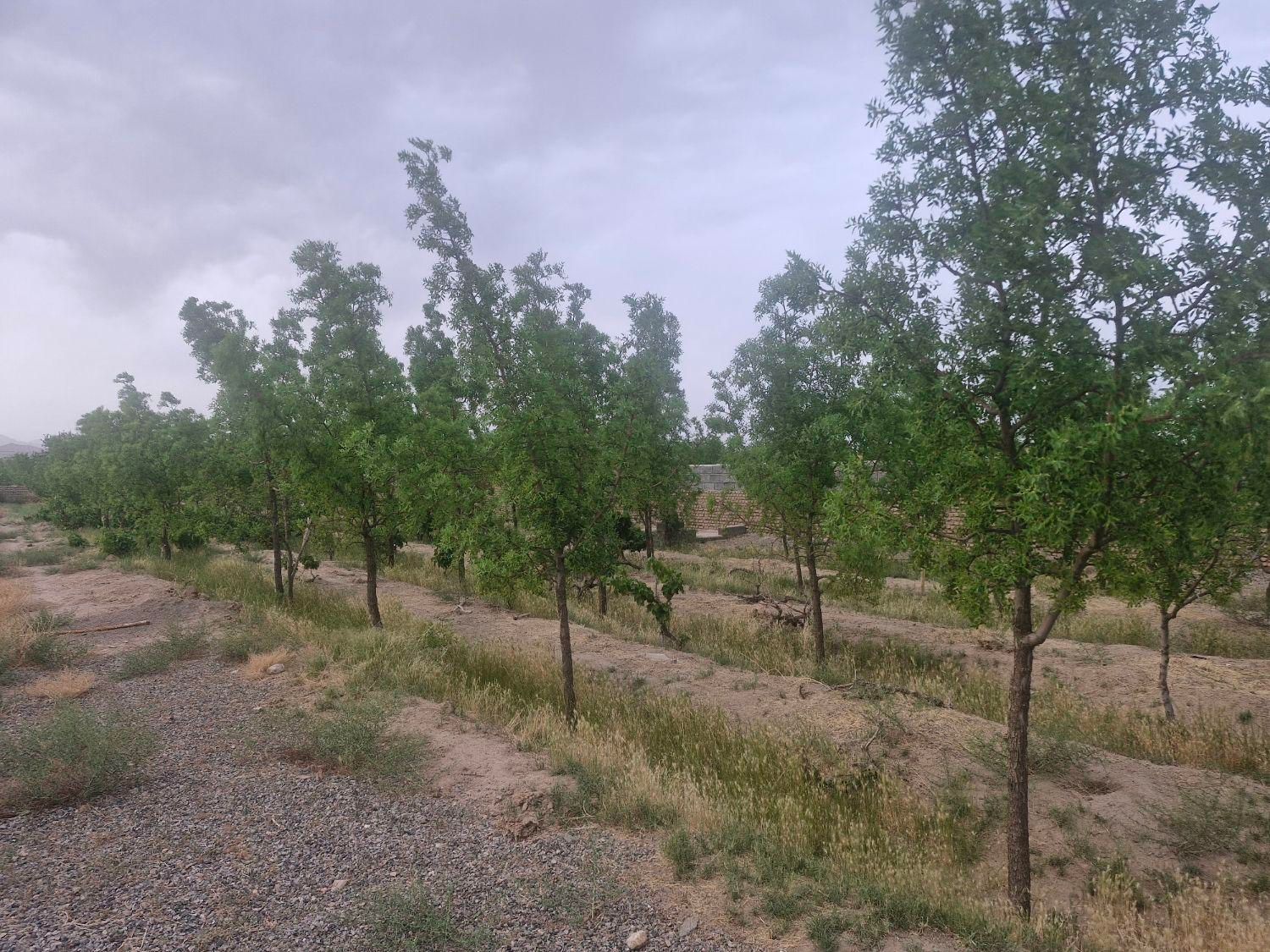 تصویر 6