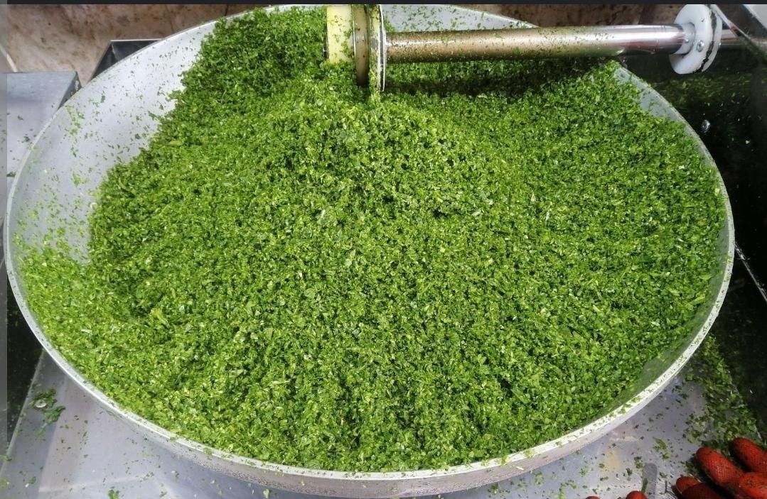 سبزی خرد شده خانگی|خوردنی و آشامیدنی|تهران, شکوفه|دیوار