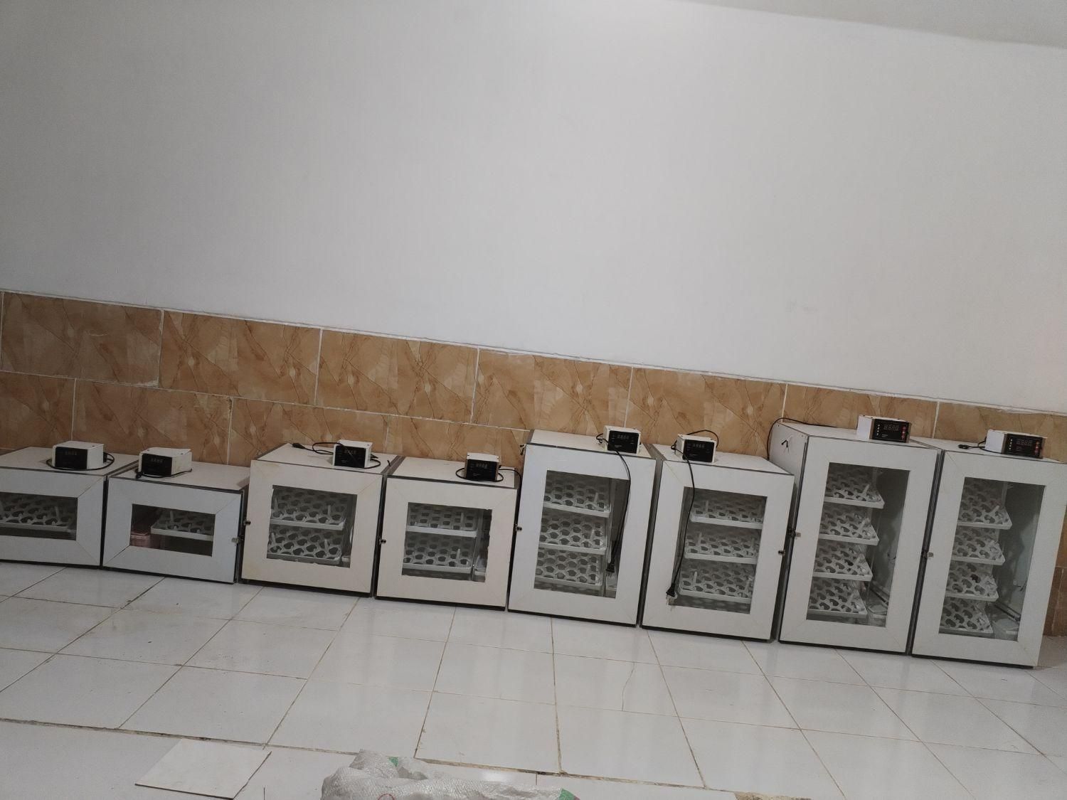 دستگاه جوجه کشی مدل t8|ماشین‌آلات صنعتی|شیراز, کوشک میدان|دیوار