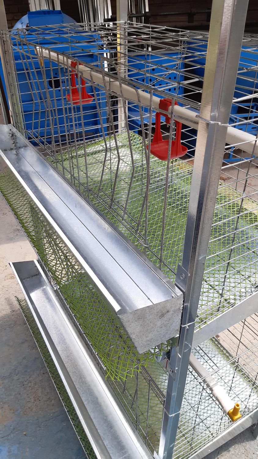 قفس و سبد حمل مرغ و بلدرچین|لوازم جانبی حیوانات|یزد, |دیوار