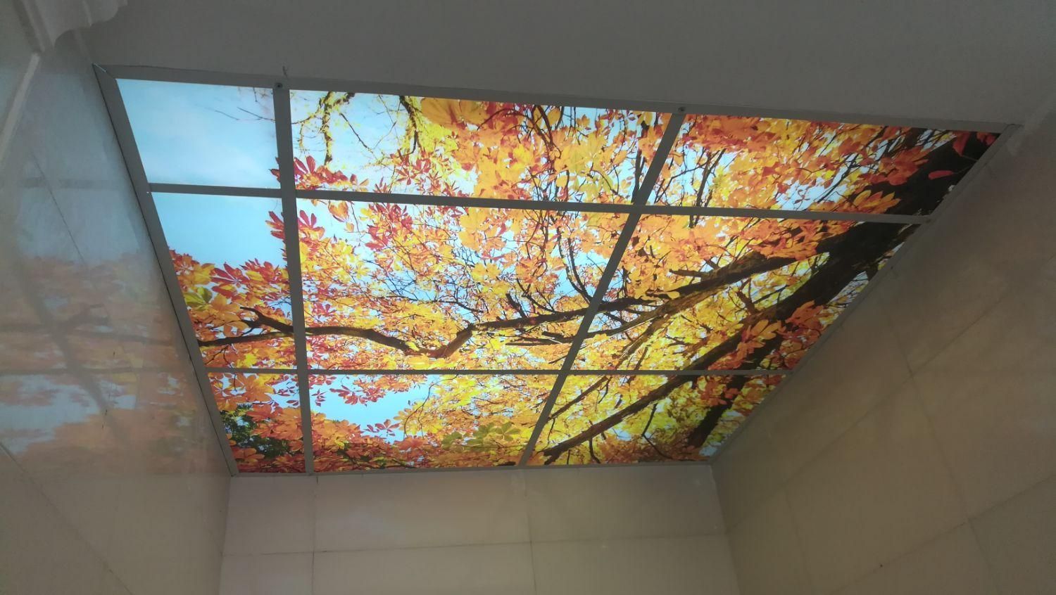 کناف تایل پی وی سی|خدمات پیشه و مهارت|دوگنبدان, |دیوار