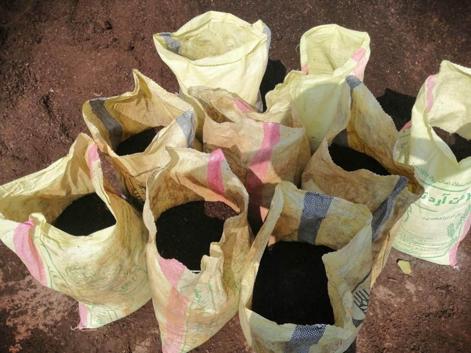 خاک برگ کیسه زده آماده|خدمات باغبانی و درختکاری|رشت, دروازه لاکان|دیوار