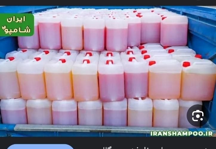 شامپو فرش شویی صنعتی قالیشویی دستی وماشینی|خدمات نظافت|مشهد, بهمن|دیوار