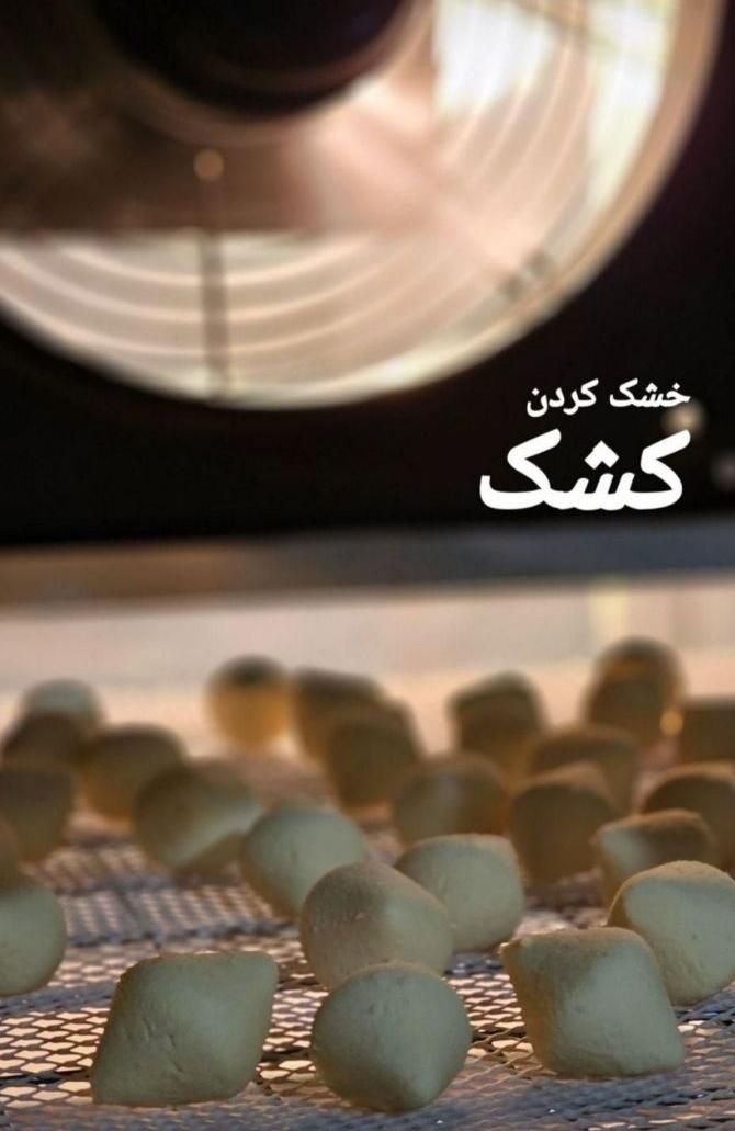 طراحی تولید دستگاه خشک کن میوه سبزی fd800|ماشین‌آلات صنعتی|همدان, |دیوار